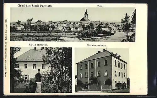 AK Pressath, Mädchenschule, Kgl. Forsthaus, Totalansicht