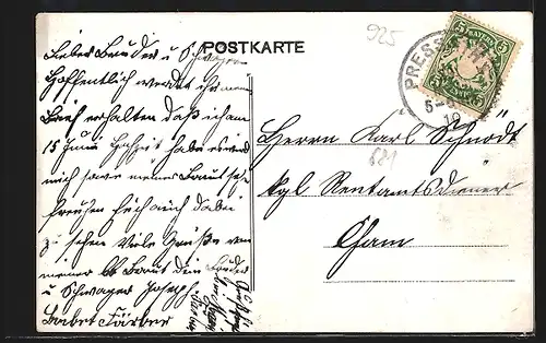 AK Pressath, Mädchenschule, Kgl. Forsthaus, Totalansicht