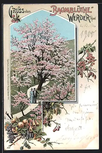 Lithographie Werder a. Havel, Spaziergänger zur Zeit der Baumblüthe