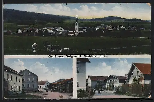 AK Geigant b. Waldmünchen, Strassenpartie mit Wohnhäusern, Ortsansicht mit Kirche