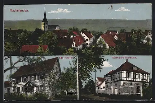 AK Flachslanden, Distrikts-Tierarztvilla, Kgl. Forstamt, Panorama