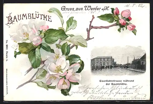 Lithographie Werder /Havel, Baumblütenfest, Eisenbahnstrasse während der Baumblüte
