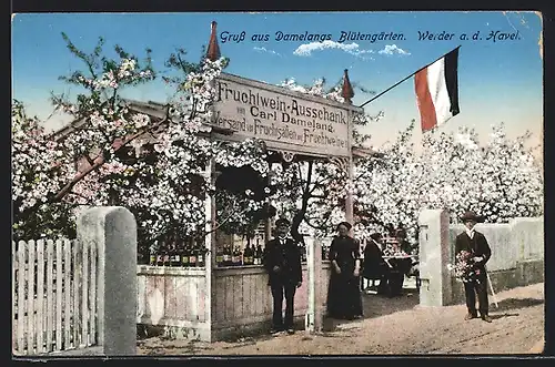 AK Werder /Havel, Gruss aus Damelangs Blütengärten, Fruchtwein-Ausschank