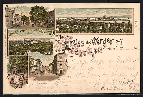 Lithographie Werder a. H., Thorstrasse, Schulhaus, Lindenblick, Totalansicht
