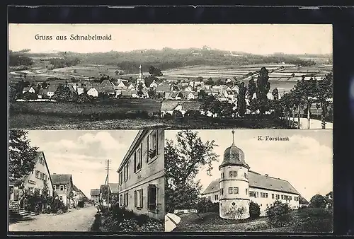 AK Schnabelwaid, K. Forstamt, Strassenpartie und Blick auf den Ort