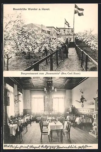 AK Werder / Havel, Burgrestaurant zum Rauenstein, Baumblüte