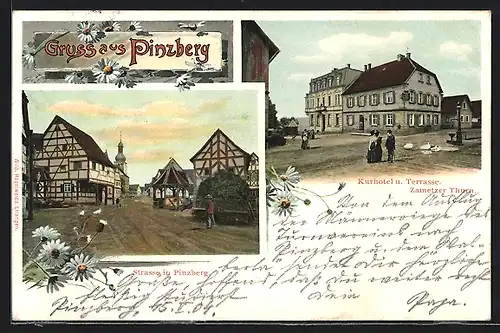Lithographie Pinzberg, Kurhotel u. Terrasase, Zametzer Thurm, Strassenpartie