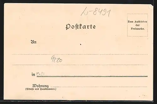 Lithographie Arnschwang, Am Dampfsägewerk, Ortsansicht