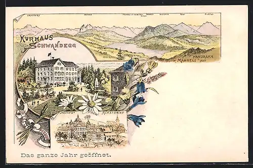 Lithographie Menzingen, Kurhaus Schwandegg, Institut Menzingen, Panorama mit Drusberg, Rigi und Pilatus