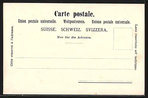 Lithographie Menzingen, Kurhaus Schwandegg, Institut Menzingen, Panorama mit Drusberg, Rigi und Pilatus