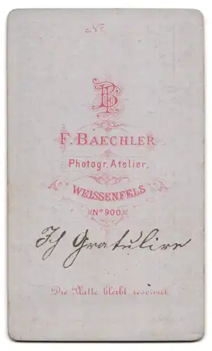 Fotografie F. Baechler, Weissenfels, Mädchen im Kleid mit Tisch und Stuhl