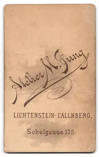 Fotografie M. Jung, Lichtenstein-Callnberg, Schulgasse 175, Attraktiver junger Mann mit Tolle und Fliege