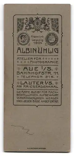 Fotografie Albin Uhlig, Aue, Bahnhofstr. 11, Lässiger gutaussehender Junge im Anzug und mit Krawatte