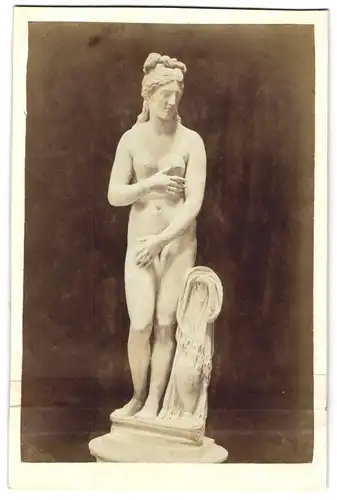 Fotografie unbekannter Fotograf und Ort, Statue: Venus, nach Ludovici