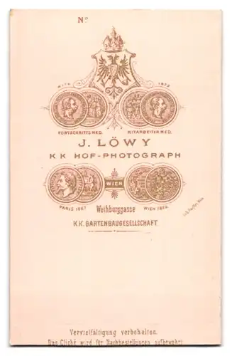 Fotografie J. Löwy, Wien, älterer Herr im Anzug mit Fliege und Backenbart, Halbglatze