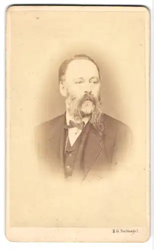 Fotografie H. G. Nothnagel, Hamburg-Altona, Portrait älterer Herr im Anzug mit fransigem Vollbart