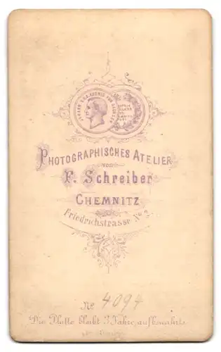 Fotografie F. Schreiber, Chemnitz, junger Mann im Anzug mit Fliege und Vollbart