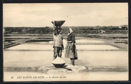 AK Les Marais Salants, La Recolte du Sel
