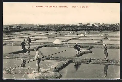 AK A travers les Marais salants, Recolte du sel