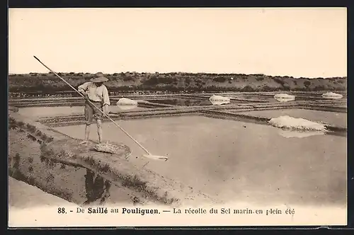 AK De Saillé au Pouliguen, La recolte du Sel marin en plein ete