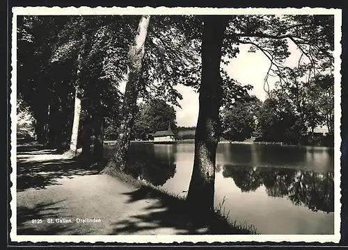 AK St. Gallen, Ortspartie Dreilinden mit Blick auf das Wasser