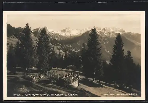 AK Silum, Ortsansicht mit Nafkopf und Falknis