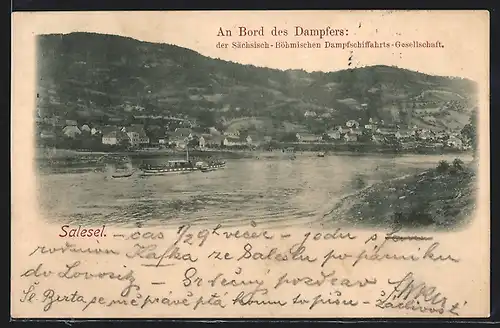 AK Salesel, Flusspartie mit Dampfer der Sächsisch-Böhmischen Dampfschiffahrts-Gesellschaft