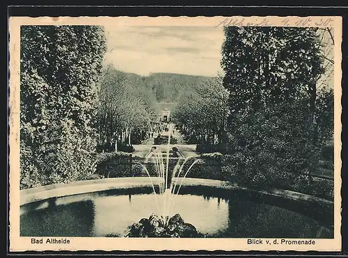 AK Bad Altheide, Blick von der Promenade