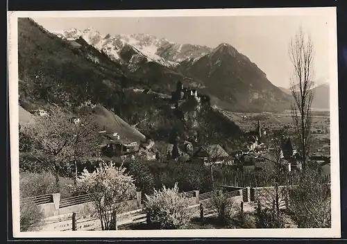 AK Vaduz, Schloss und Ort aus der Vogelschau