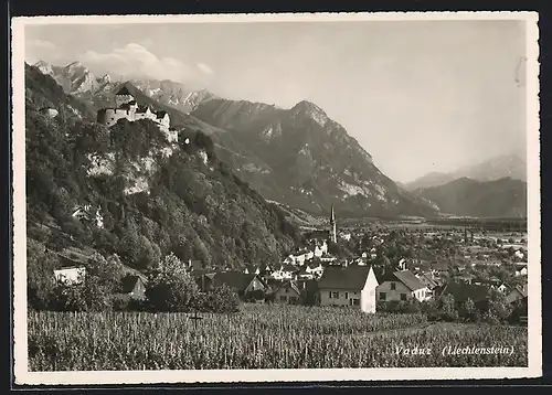 AK Vaduz, Ortsansicht mit Schloss aus der Vogelschau