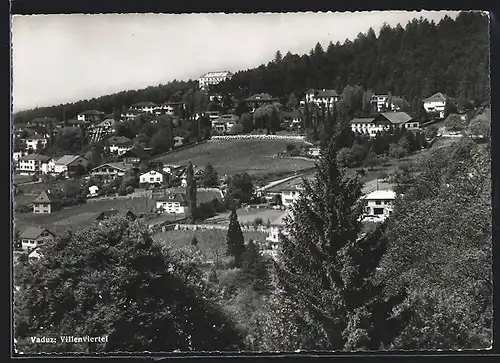 AK Vaduz, Fliegeraufnahme vom Villenviertel
