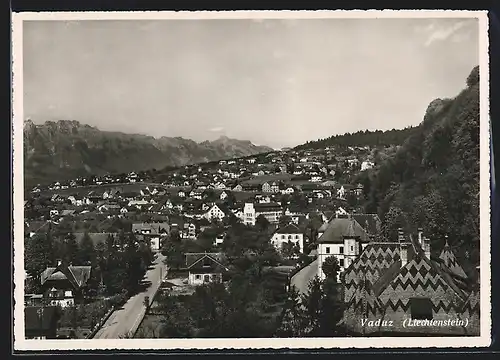 AK Vaduz, Teilansicht mit Strasse aus der Vogelschau