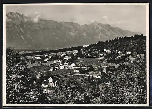 AK Vaduz, Villenkolonie, von oben gesehen