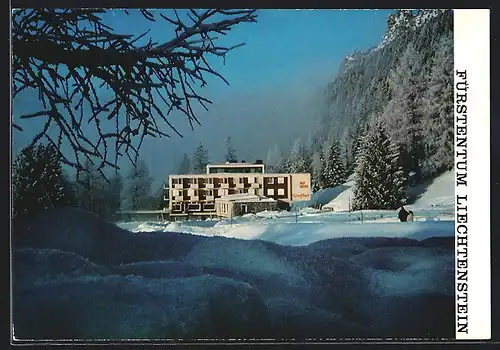 AK Triesenberg, Alp-Hotel Gaflei im Winter