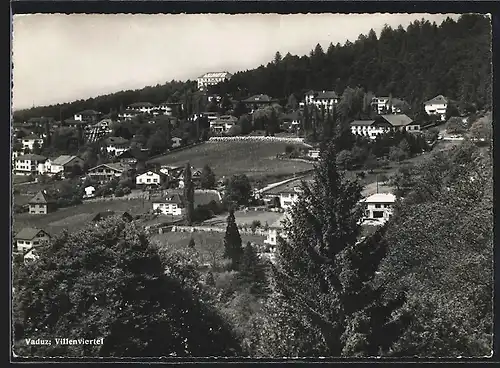 AK Vaduz, Fliegeraufnahme vom Villenviertel