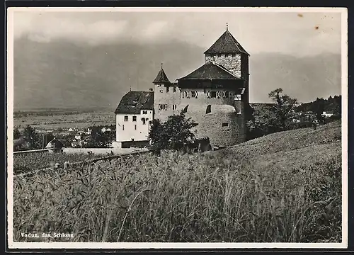 AK Vaduz, Schloss mit Fernblick