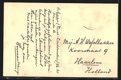 AK Schaan, Panorama gegen Falknis, Kühe