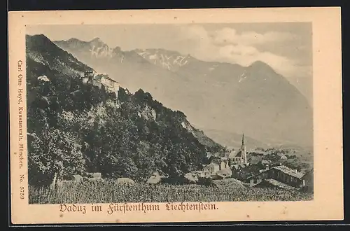 AK Vaduz, Teilansicht am Fuss des Bergschlosses