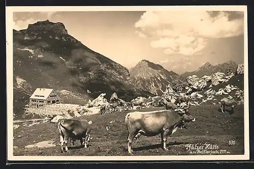 AK Bettlerjoch, Rinder vor der Pfälzerhütte