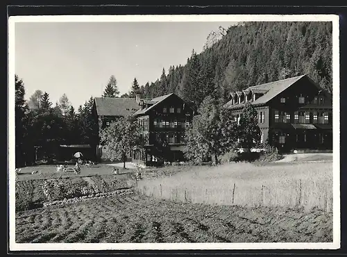 AK Gaflei, Alphotel hinter Gartenbaufeldern