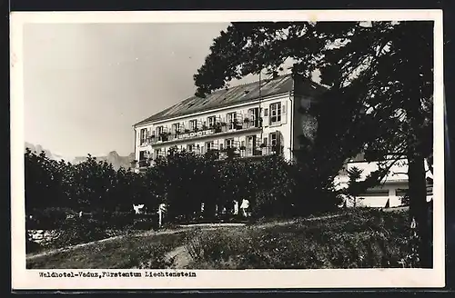 AK Vaduz, Waldhotel im Sonnenschein