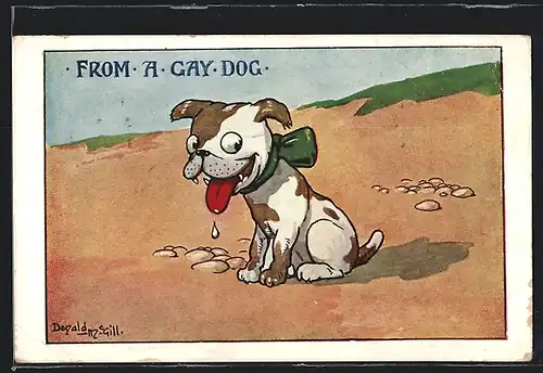 Künstler-AK Donald McGill: From A Gay Dog