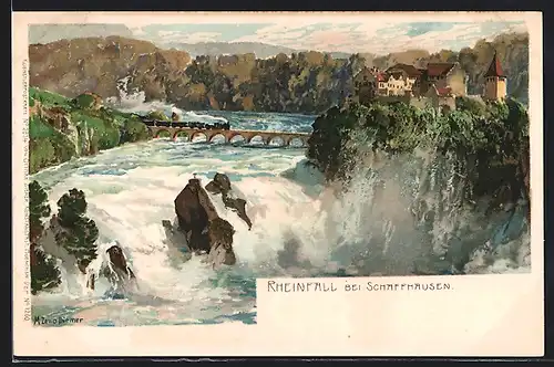 Künstler-AK Zeno Diemer: Schaffhausen, Blick auf den tosenden Rheinfall