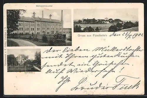 AK Friedenfels, Schlossbrauerei, Schloss, Ortsansicht