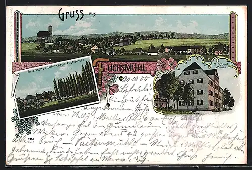 Lithographie Fuchsmühl, Ottobad Wiesau, Zollerisches Lehensgut, Ortsansicht