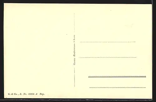 AK Schaan, Blick in die Hauptstrasse