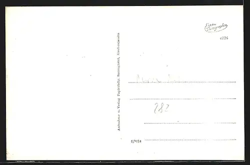AK Kirchenlamitz /Fichtelgeb., Gasthof Schützenhaus, Schwan Hansl im Stadtteich, Gesamtansicht