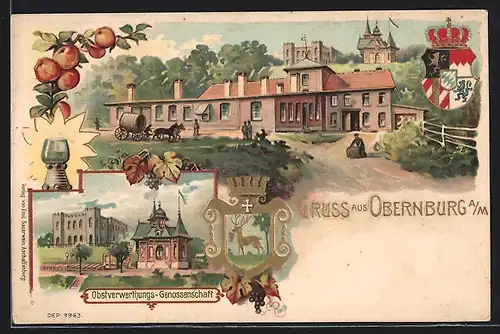 Lithographie Obernburg a. M., Obstverwertungs-Genossenschaft, Ortspartie, Wappen