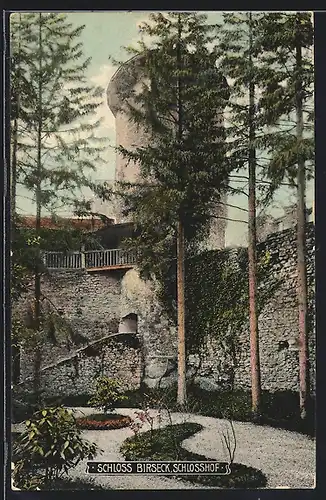 AK Birseck, Schloss und Schlosshof mit Bäumen