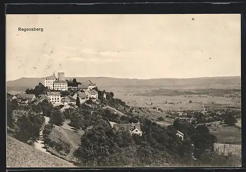 AK Regensberg, Ortsansicht auf Hügel